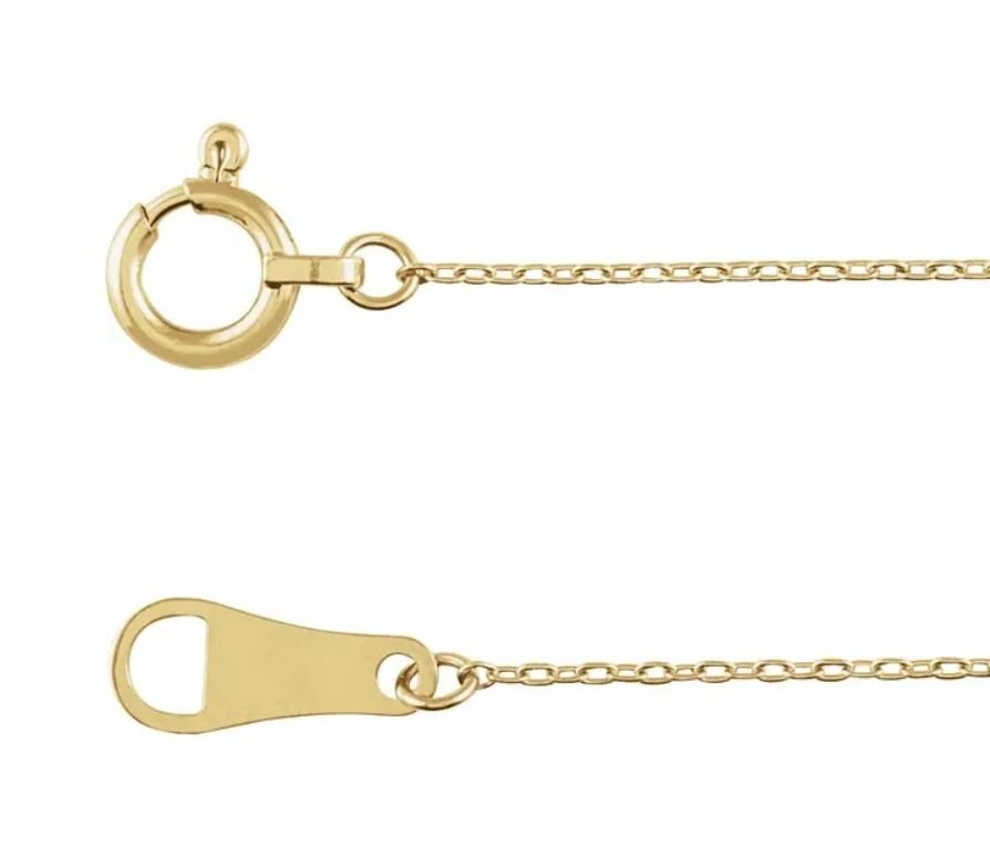 WhatsApp Image 2026-02-19 at 3.40.24 PM (1).jpeg