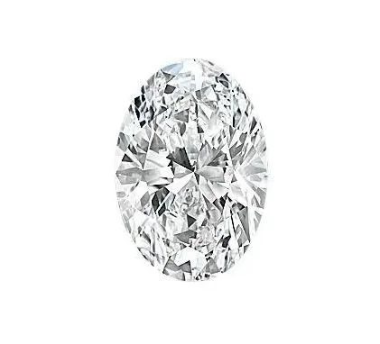 WhatsApp Image 2026-01-16 at 1.49.15 PM.jpeg