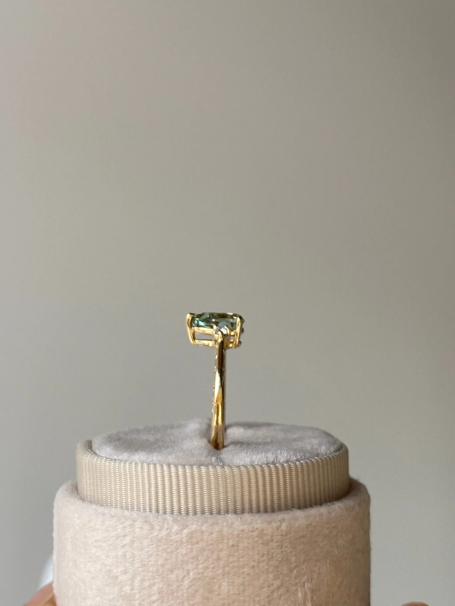 IMG_7852.jpeg