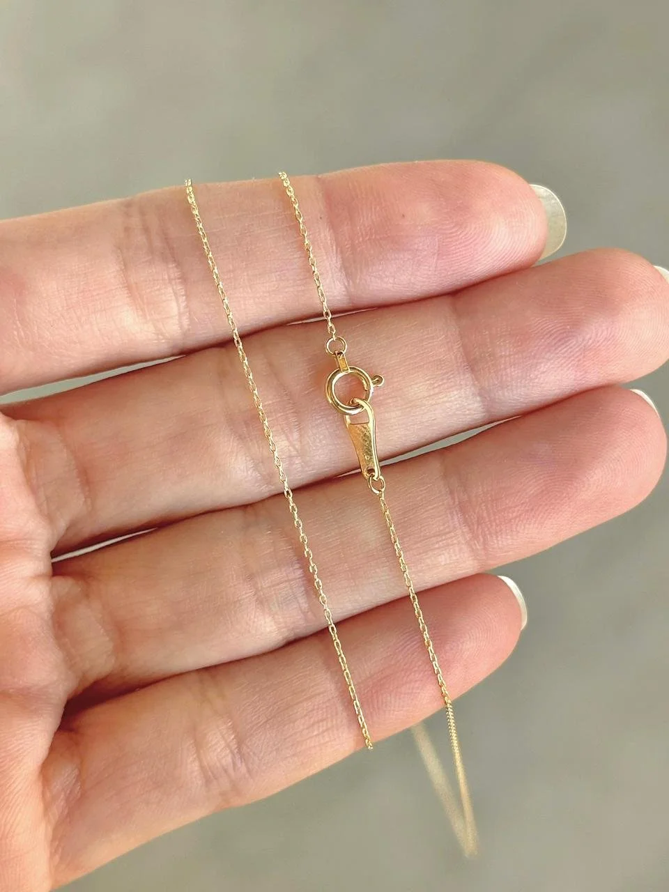 WhatsApp Image 2026-02-19 at 3.37.18 PM.jpeg