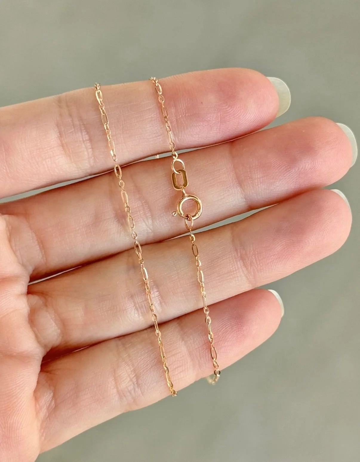 WhatsApp Image 2026-02-19 at 3.48.13 PM (2).jpeg