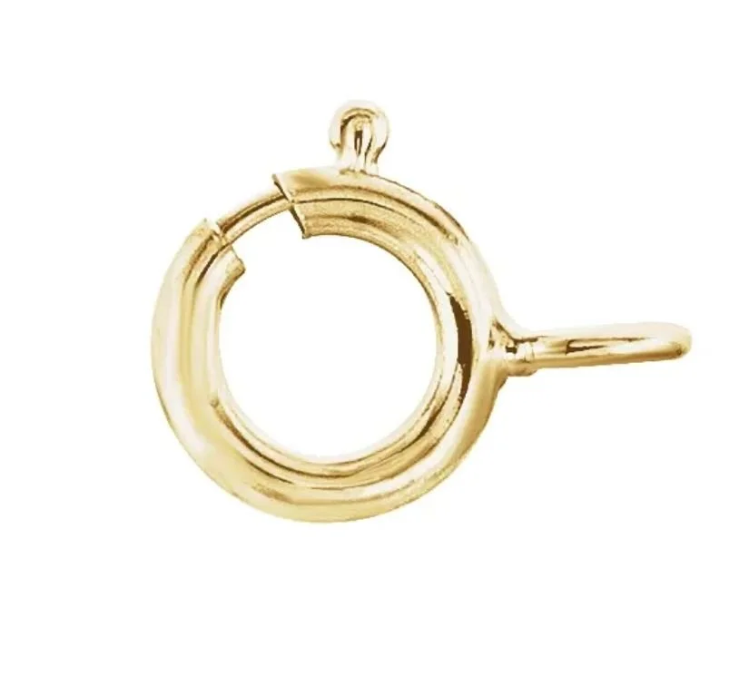 WhatsApp Image 2025-10-13 at 3.03.52 PM.jpeg