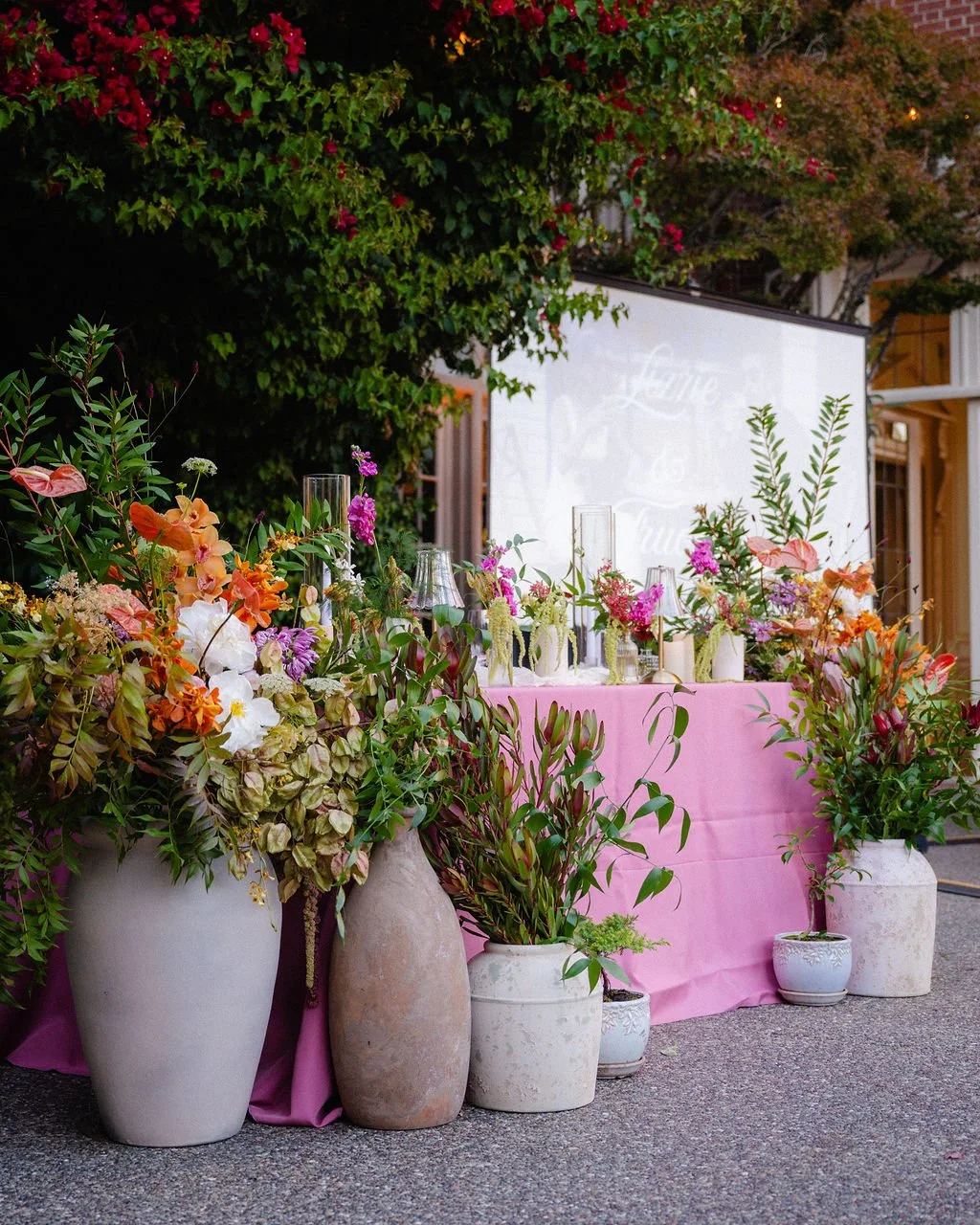 LizTru-3060 - Copy.jpg