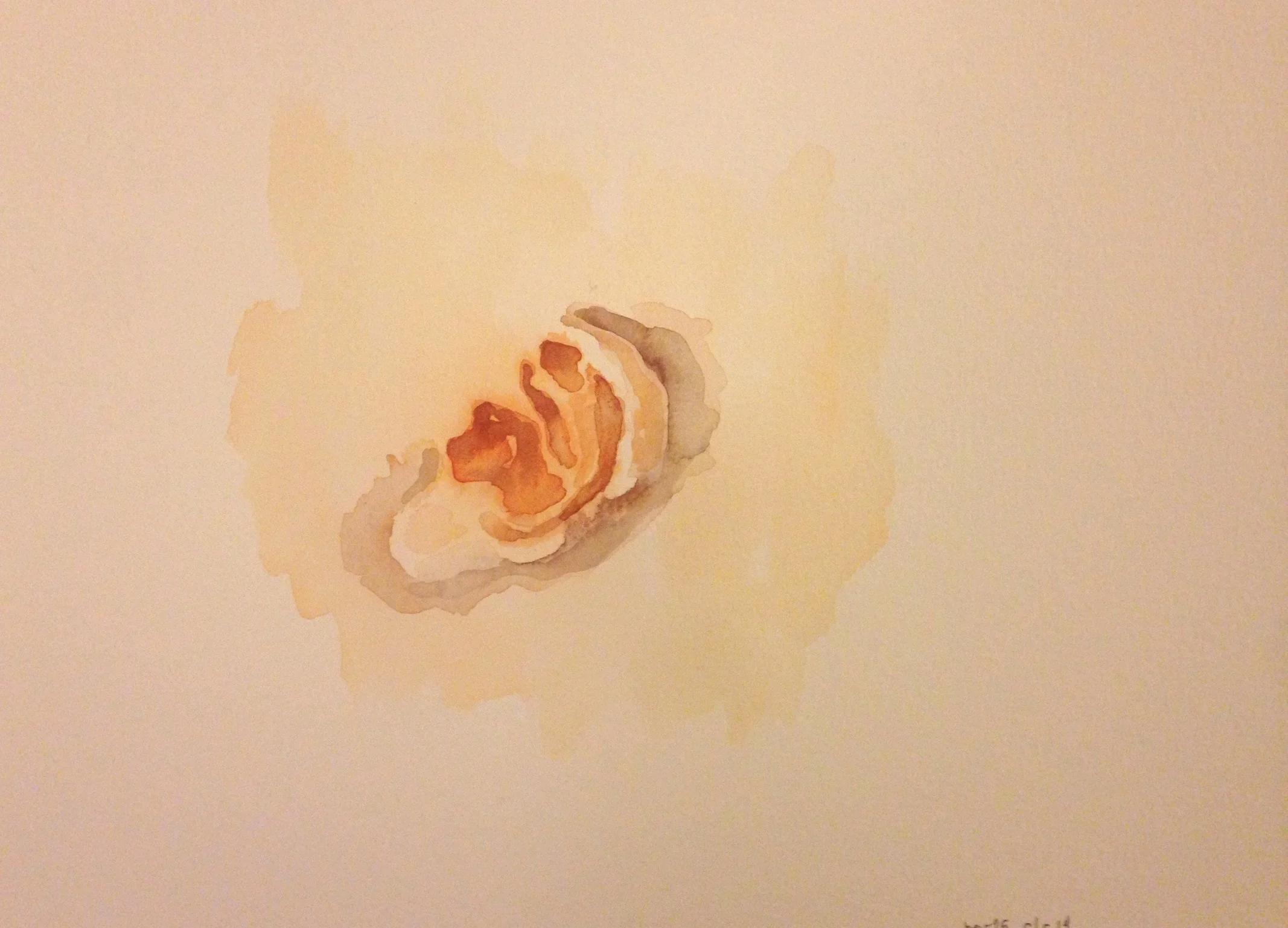 83/365