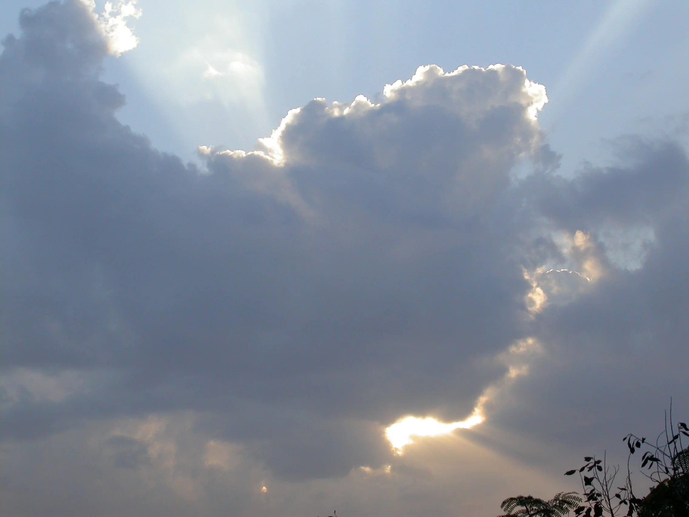 DSCN0051.JPG
