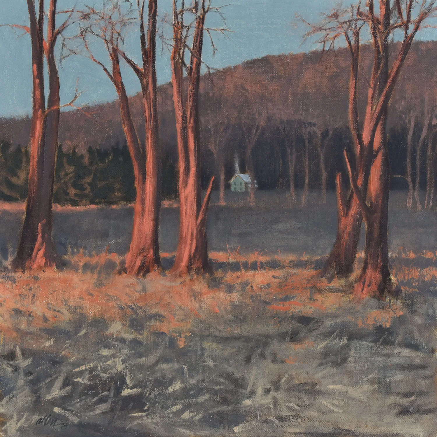 Daylight Fading, 2019