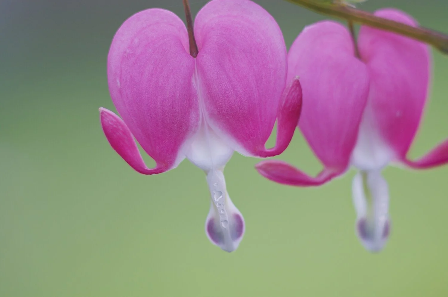 A2A5F9E1-F712-46BF-B893-5D424004B467