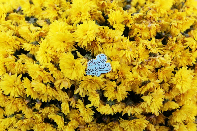 PIN001.jpg