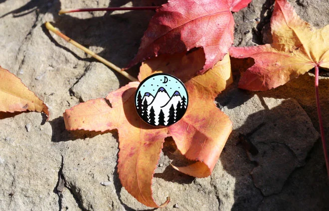 PIN002.jpg