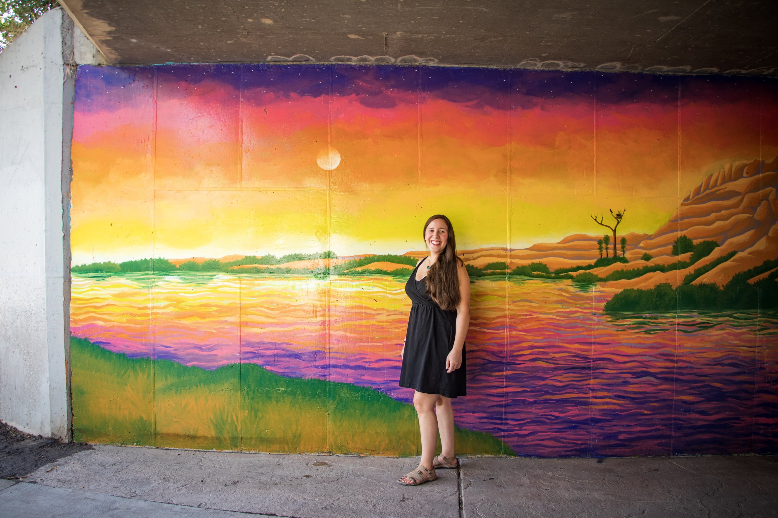  I painted this mural in collaboration with Fruita Middle School students, and working with them was a truly amazing experience. The mural tells a story which is at once a celebration of and a warning about water in the West. 