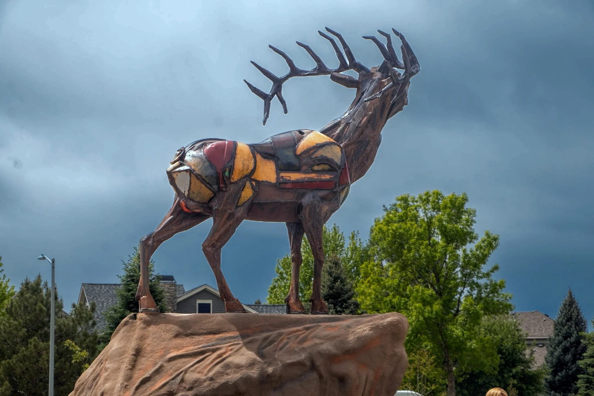 Bugling Elk 1.JPG