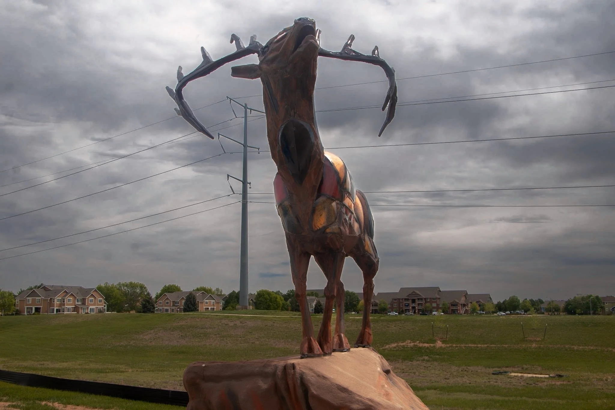Bugling Elk 3.JPG