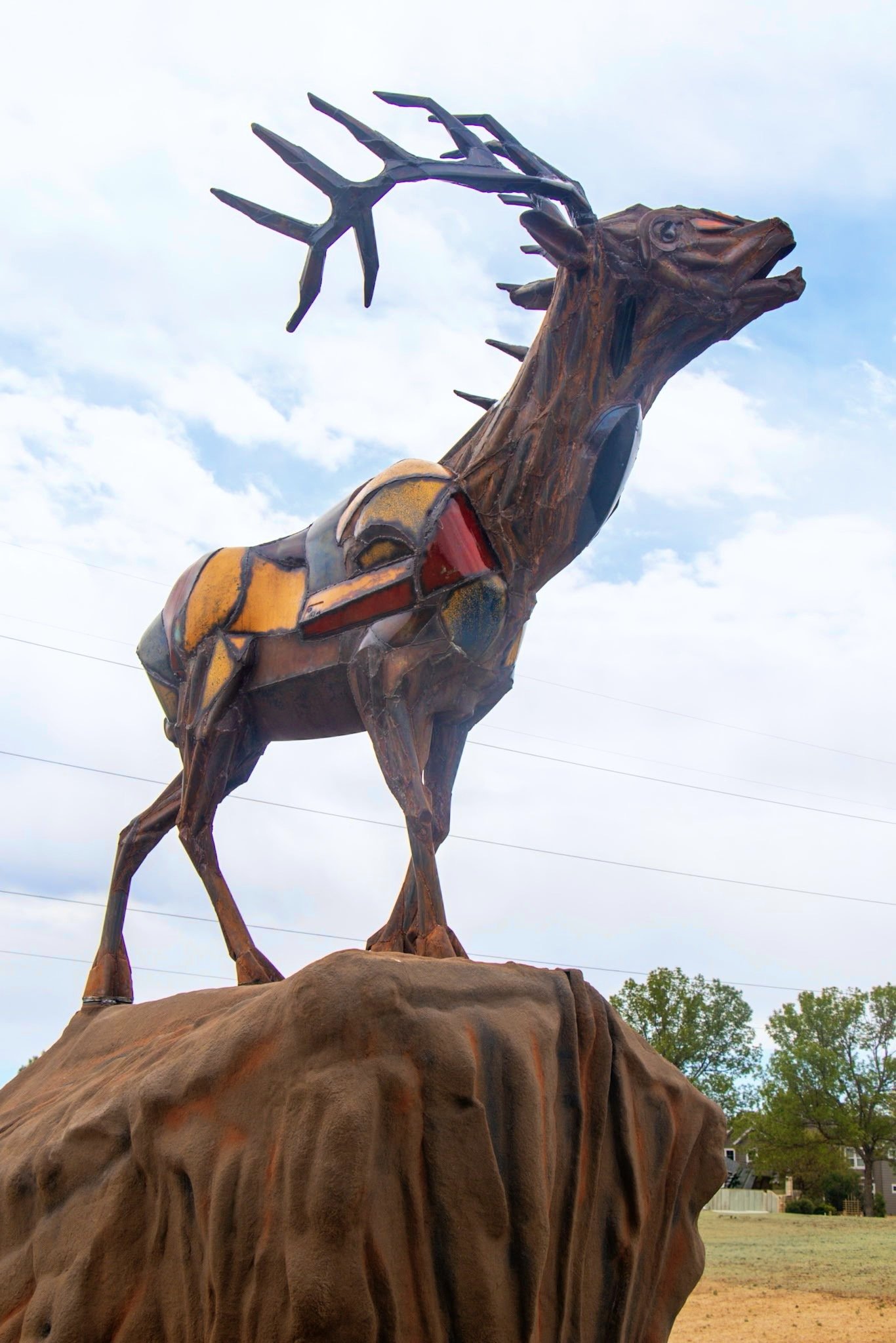 Bugling Elk 4.JPG