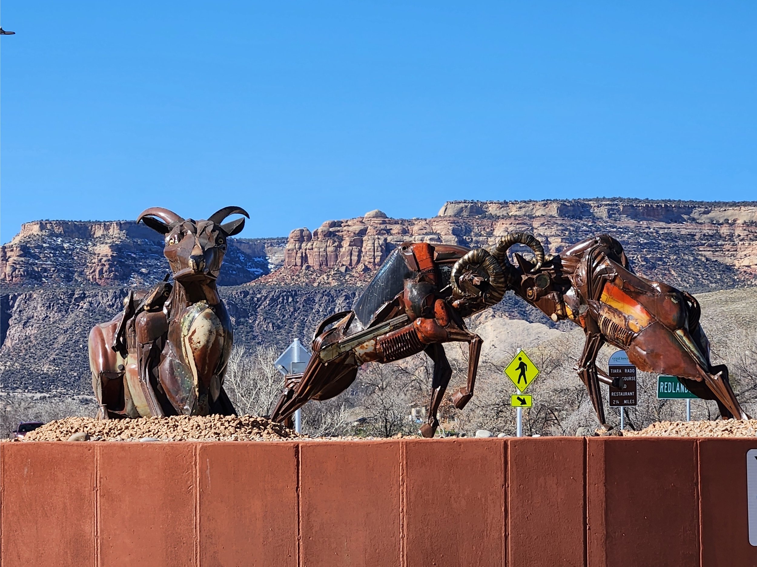 01 - PJustinian - Rams in the Redlands.jpg