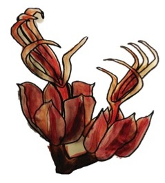 DemonFleur.jpg