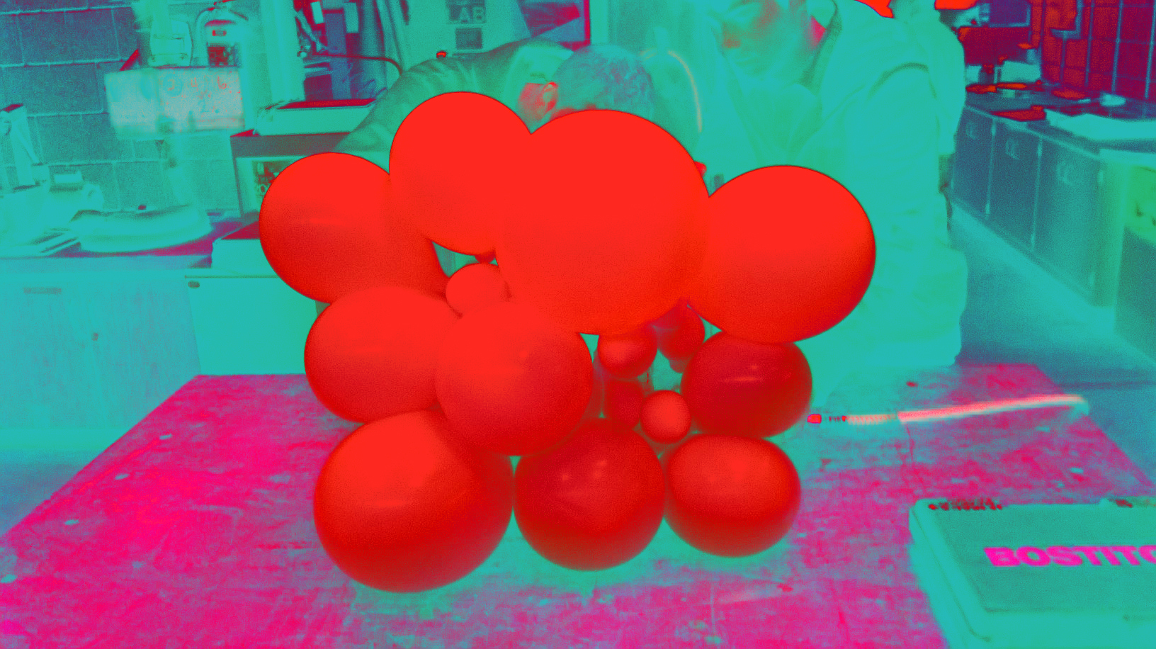 WP_20141112_004 copy.jpg