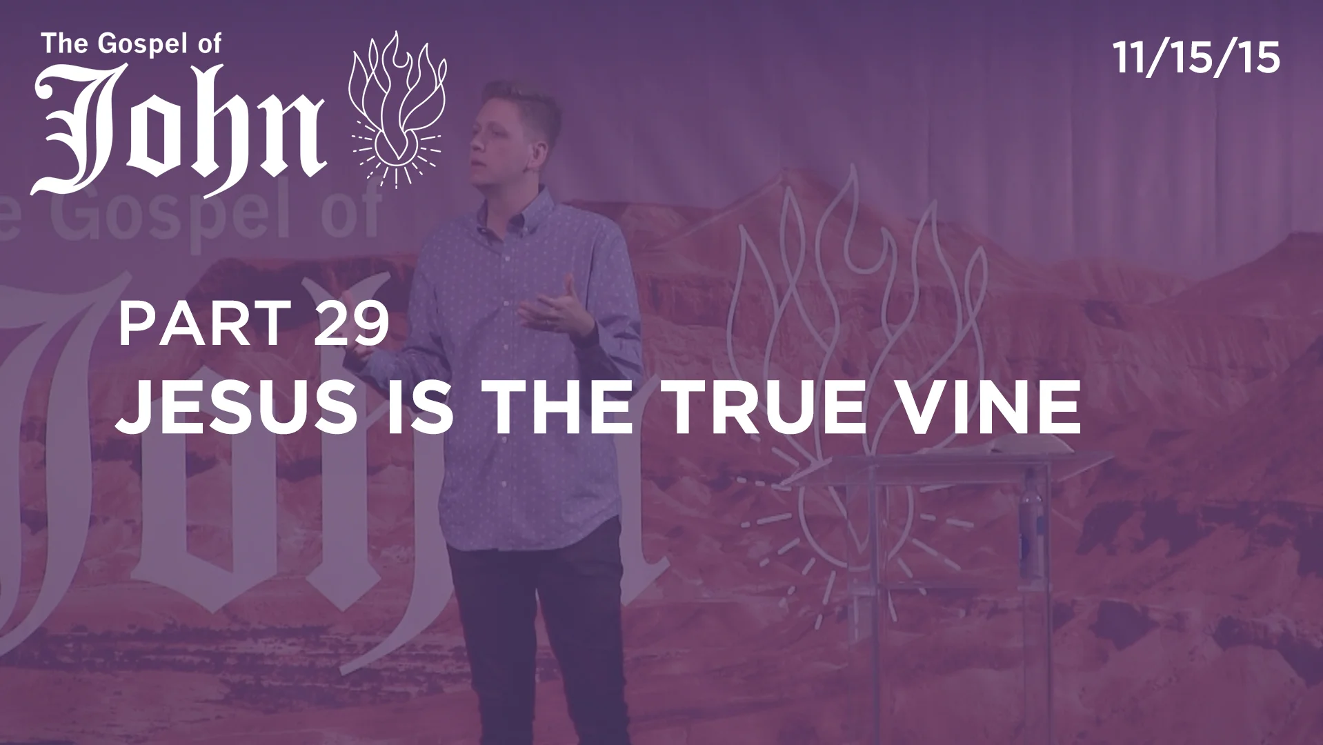 Jesus Is The True Vine