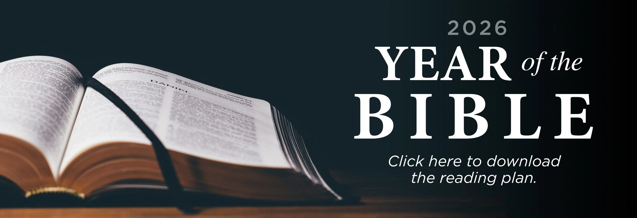 year of the Bible.jpg