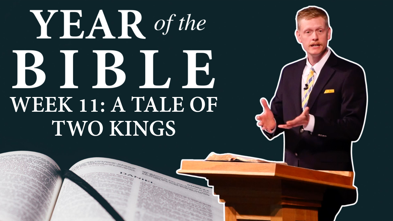 The True &amp; Faithful King