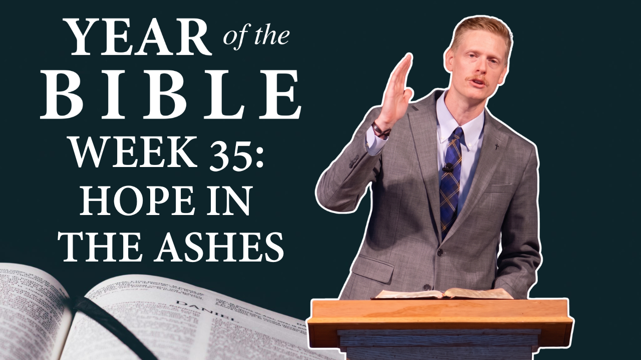 Hope In The Ashes