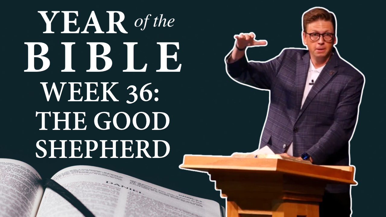 The Good Shepherd