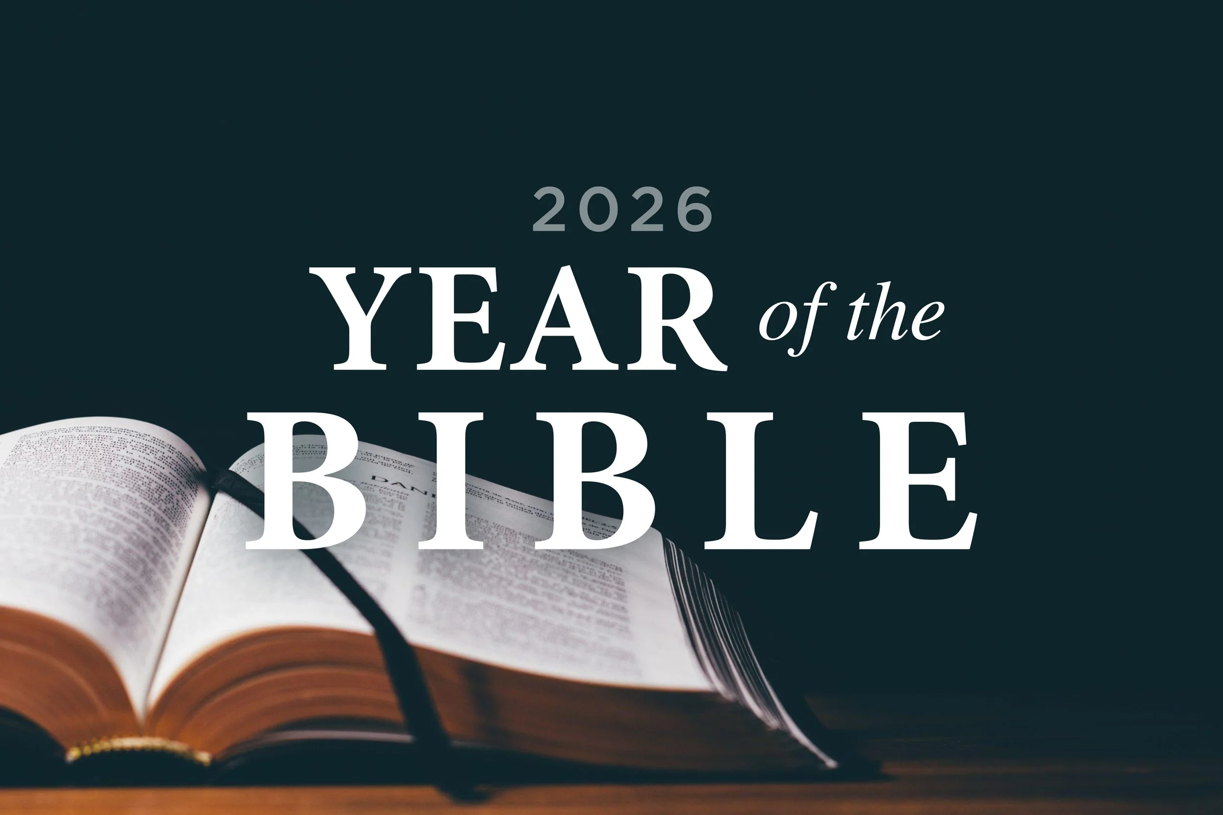 yotb main graphic copy.jpg