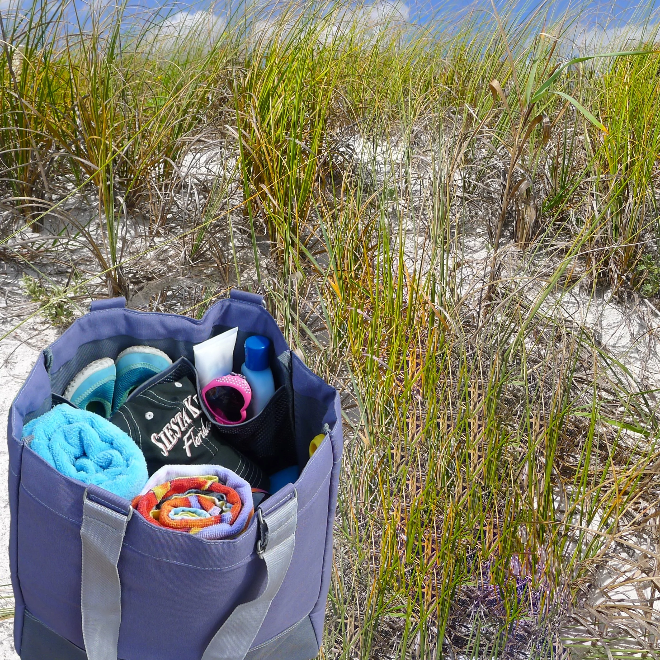 bag in grass 2 2.jpg