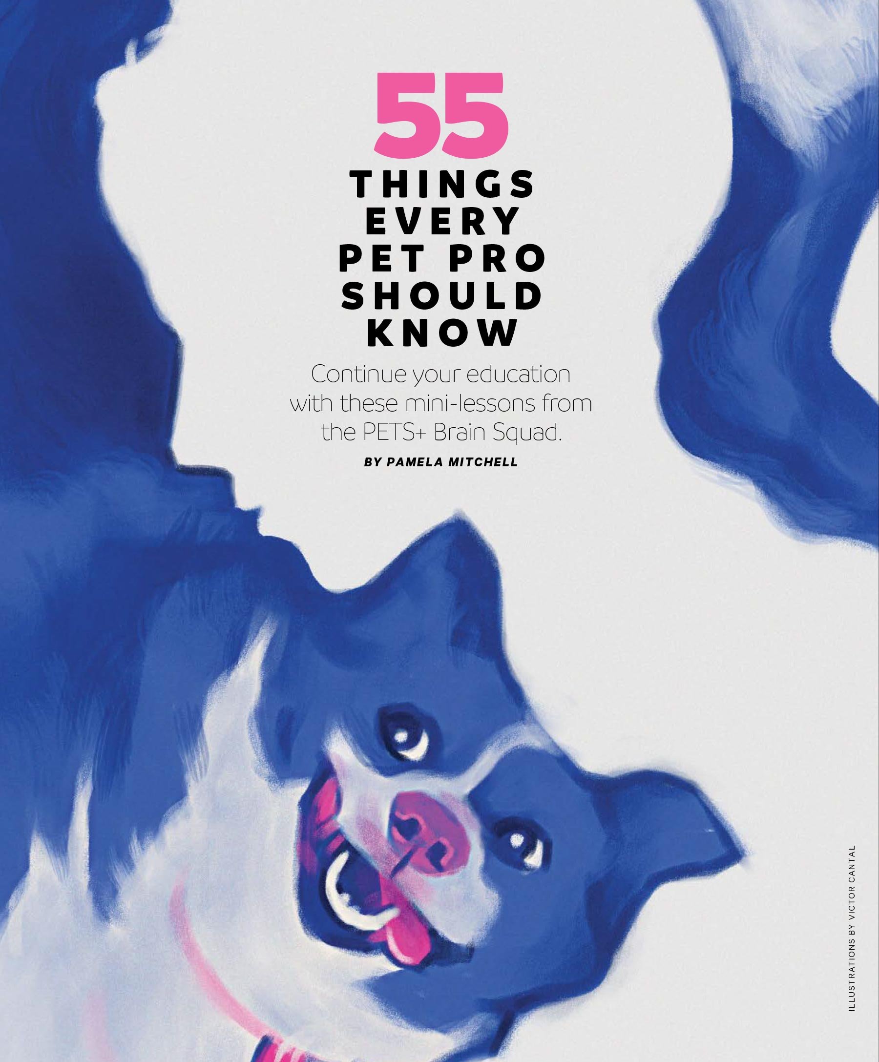 03-PETS+-May_Jun-2021-(dragged).jpg