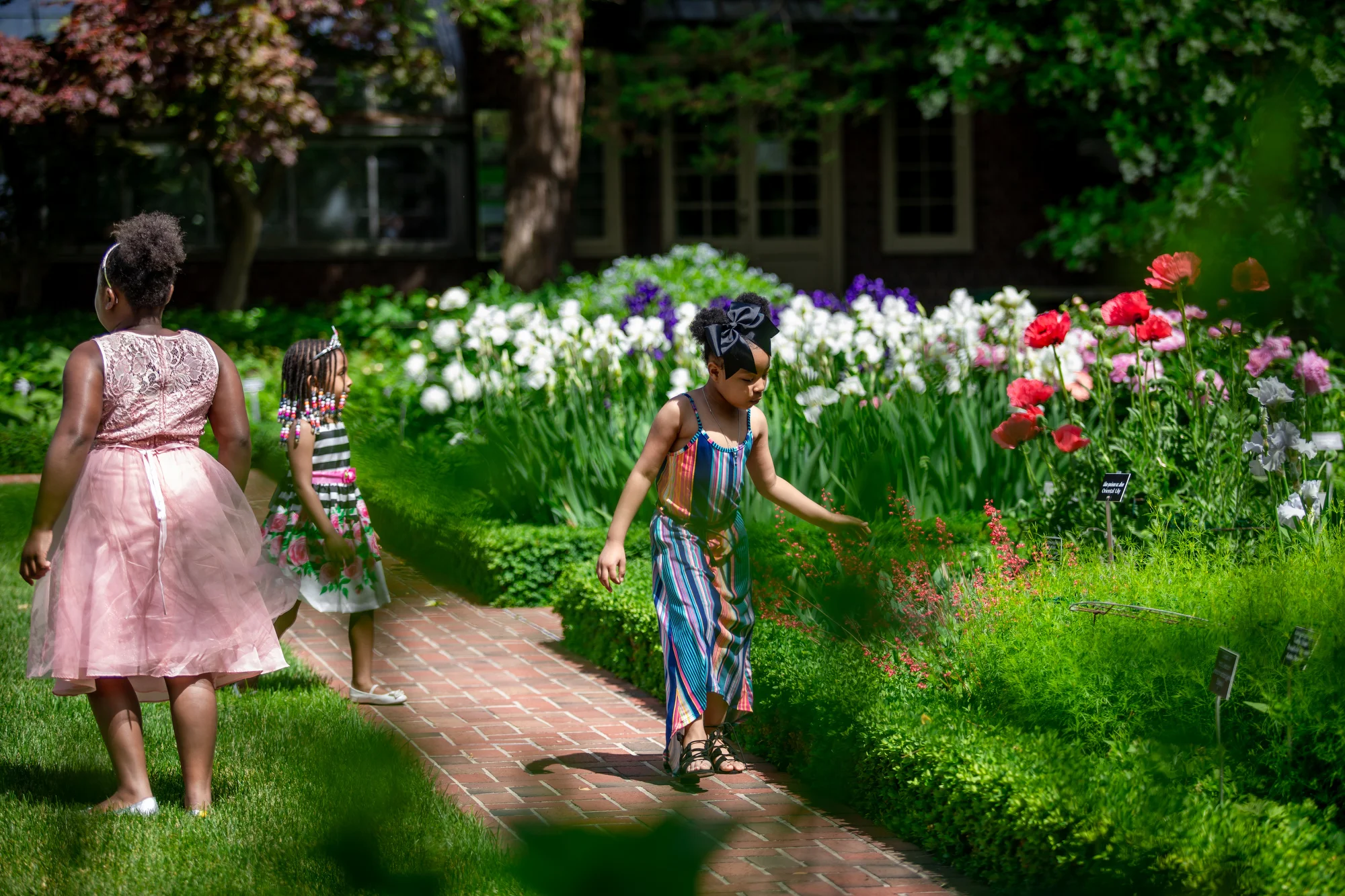  Applewood Sparkle Pink Club by Pop Mod Photo photographer Courtney Simpson. 