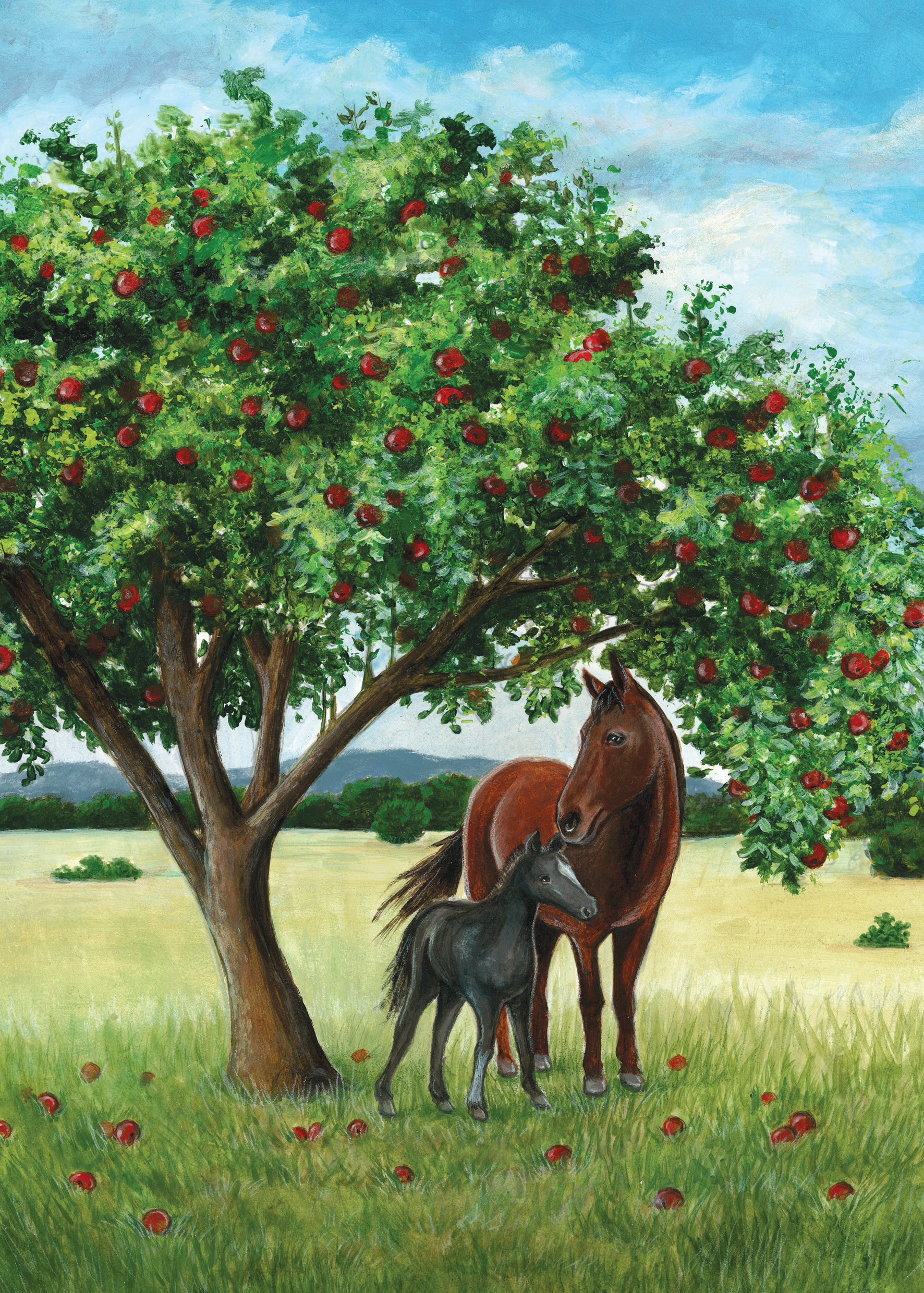 BLACK BEAUTY-1.jpg