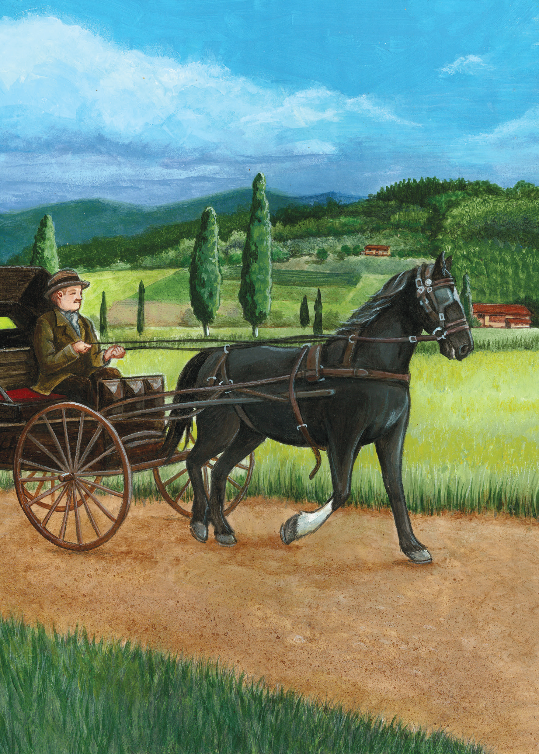BLACK BEAUTY-2.jpg