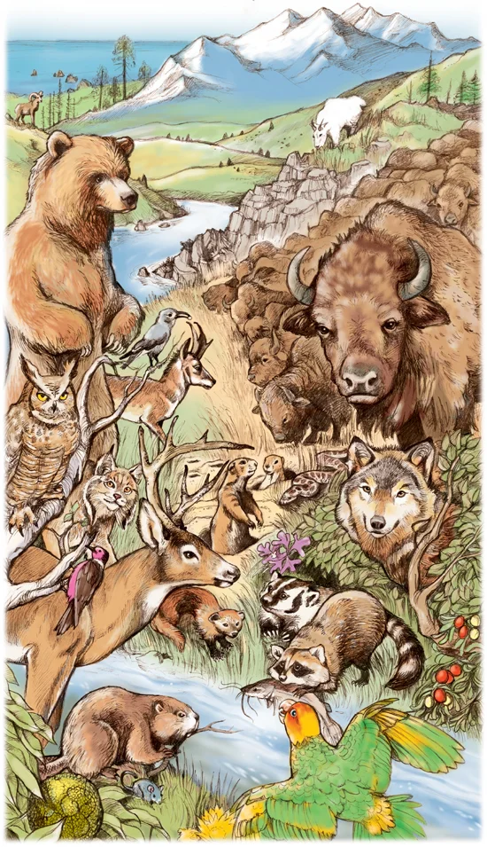 Lewis&Clark animals.jpg