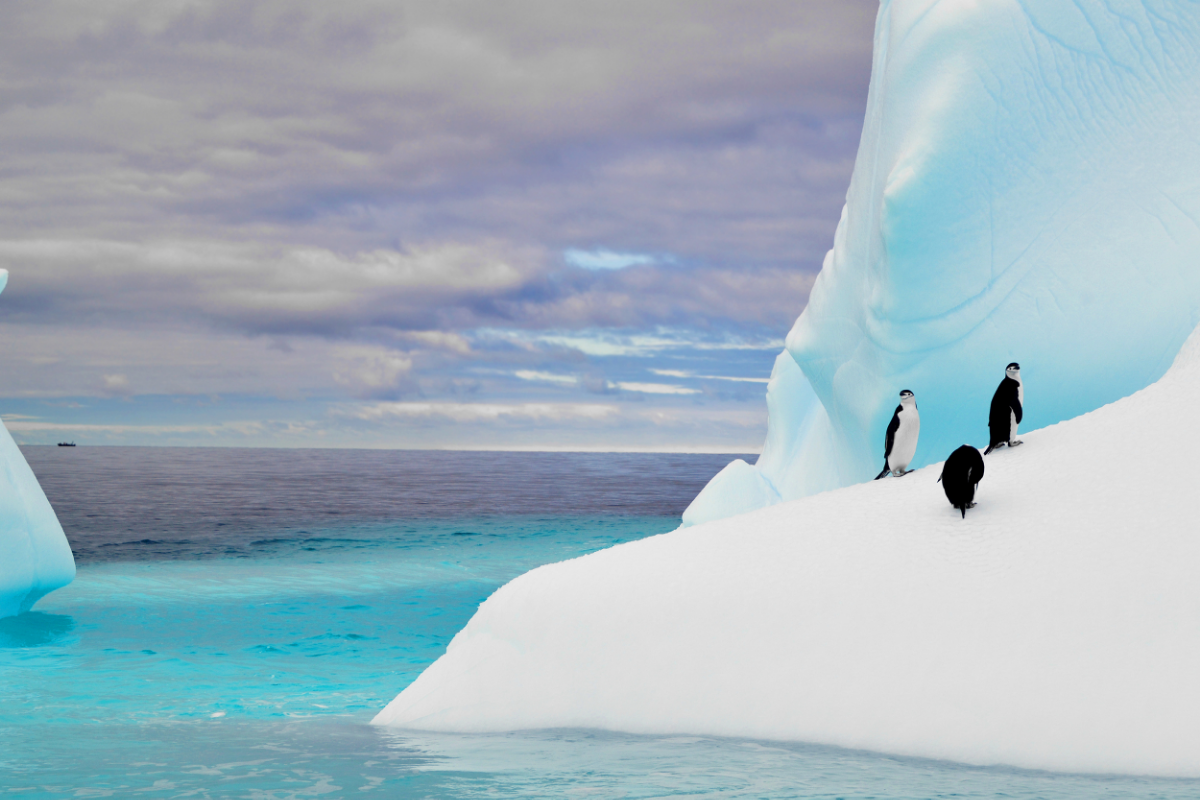 Antarctica