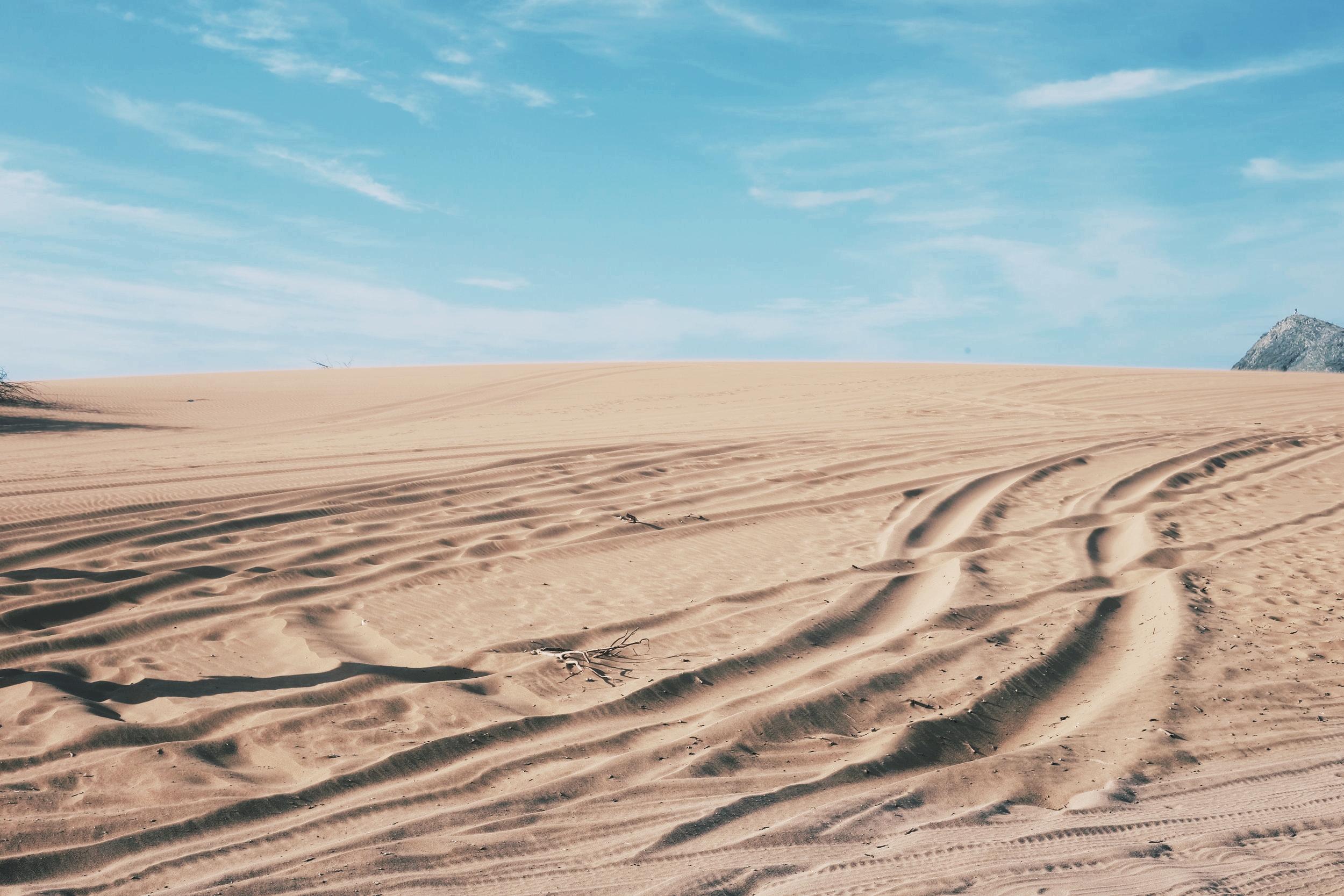 Desert paradise.