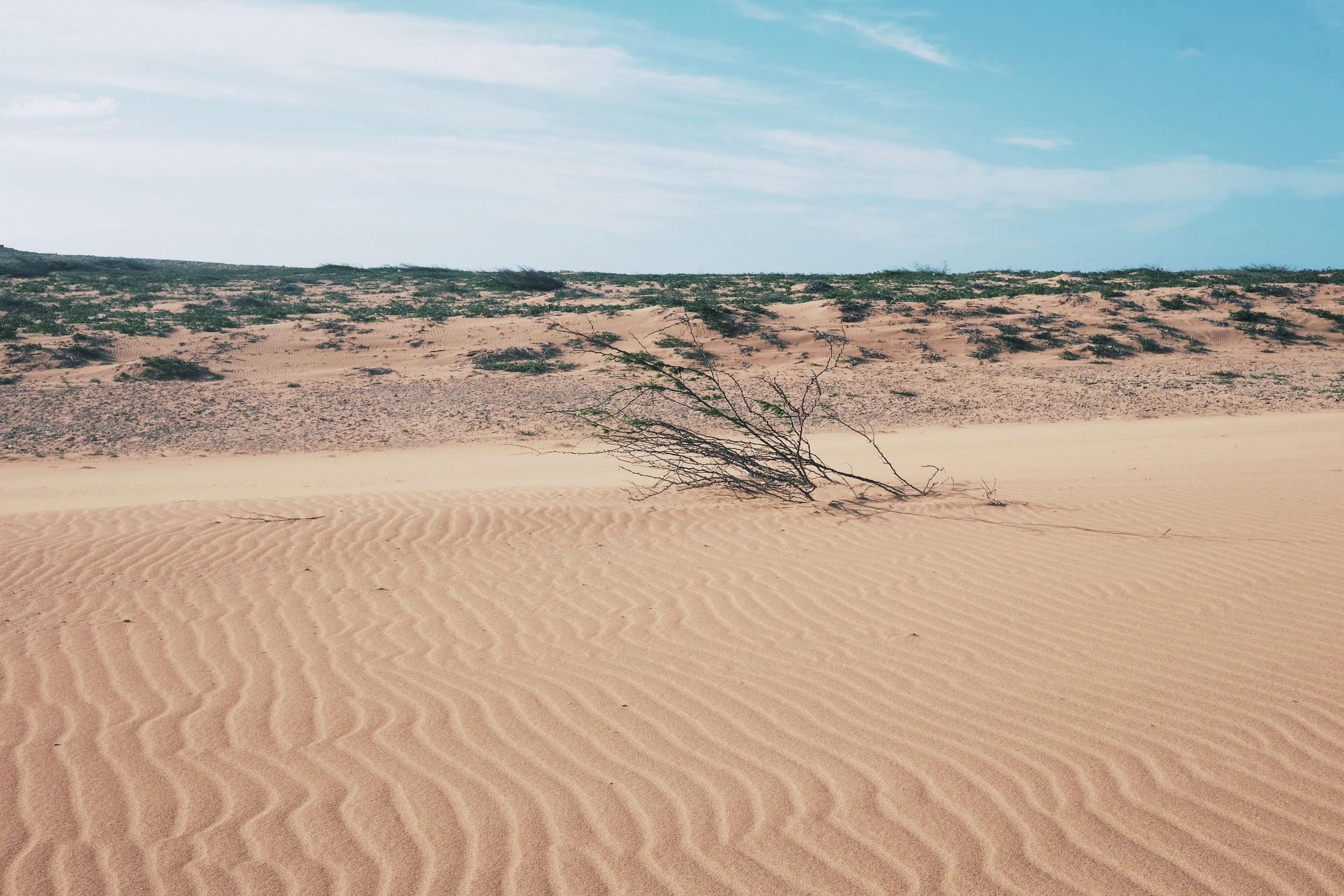La Guajira Desert.