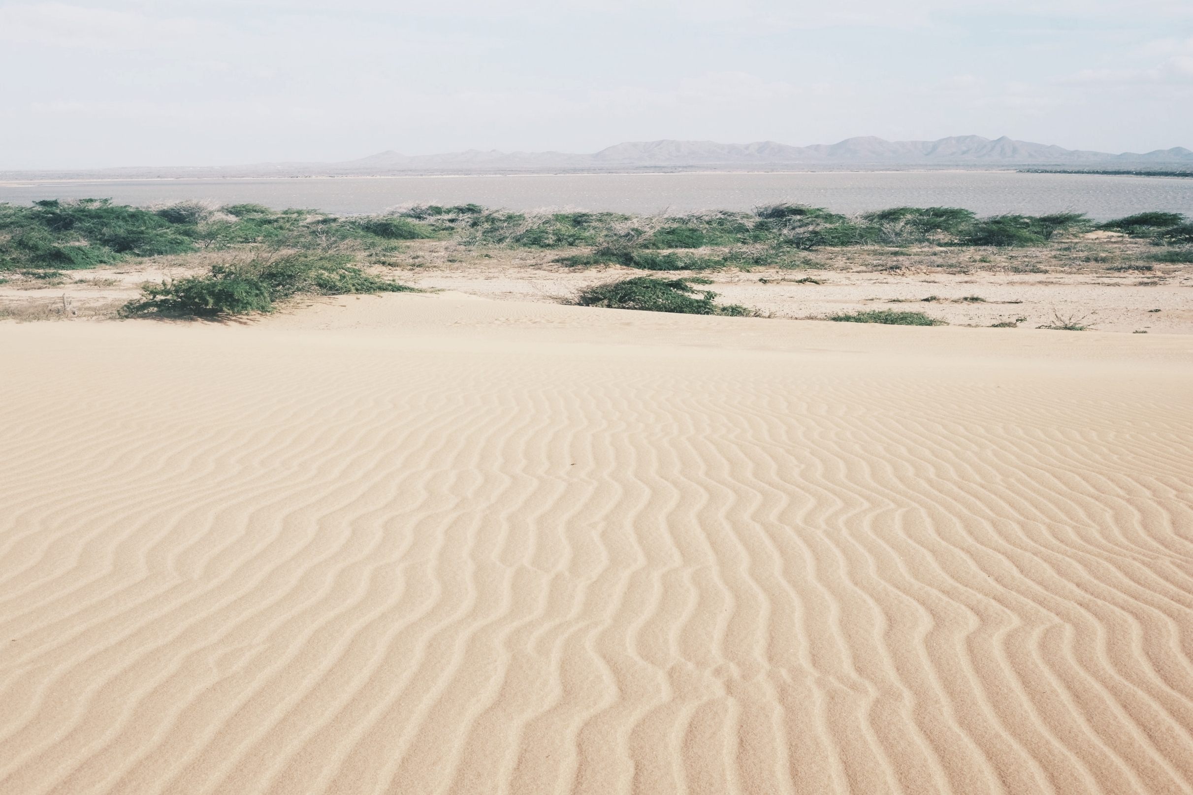 More desert vibes.