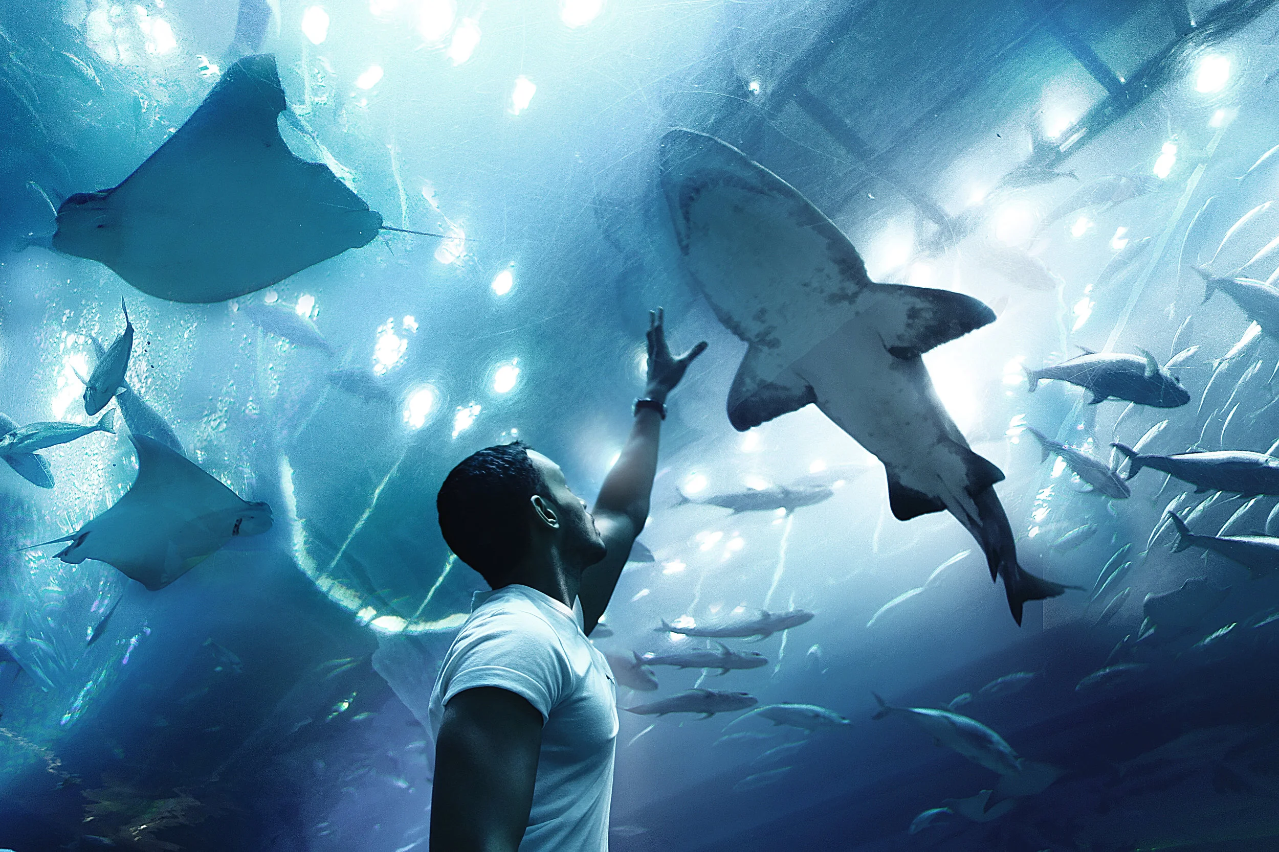 Black Friday & Cyber Monday! Save Up to $300 off on Tours4Fun.com