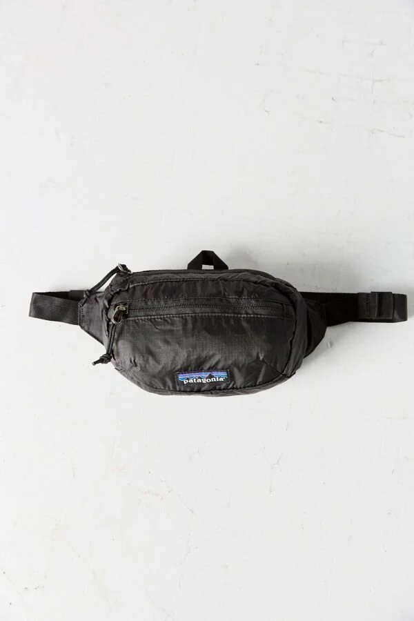 Holiday travel gift! Patagonia Lightweight Travel Mini Belt Bag