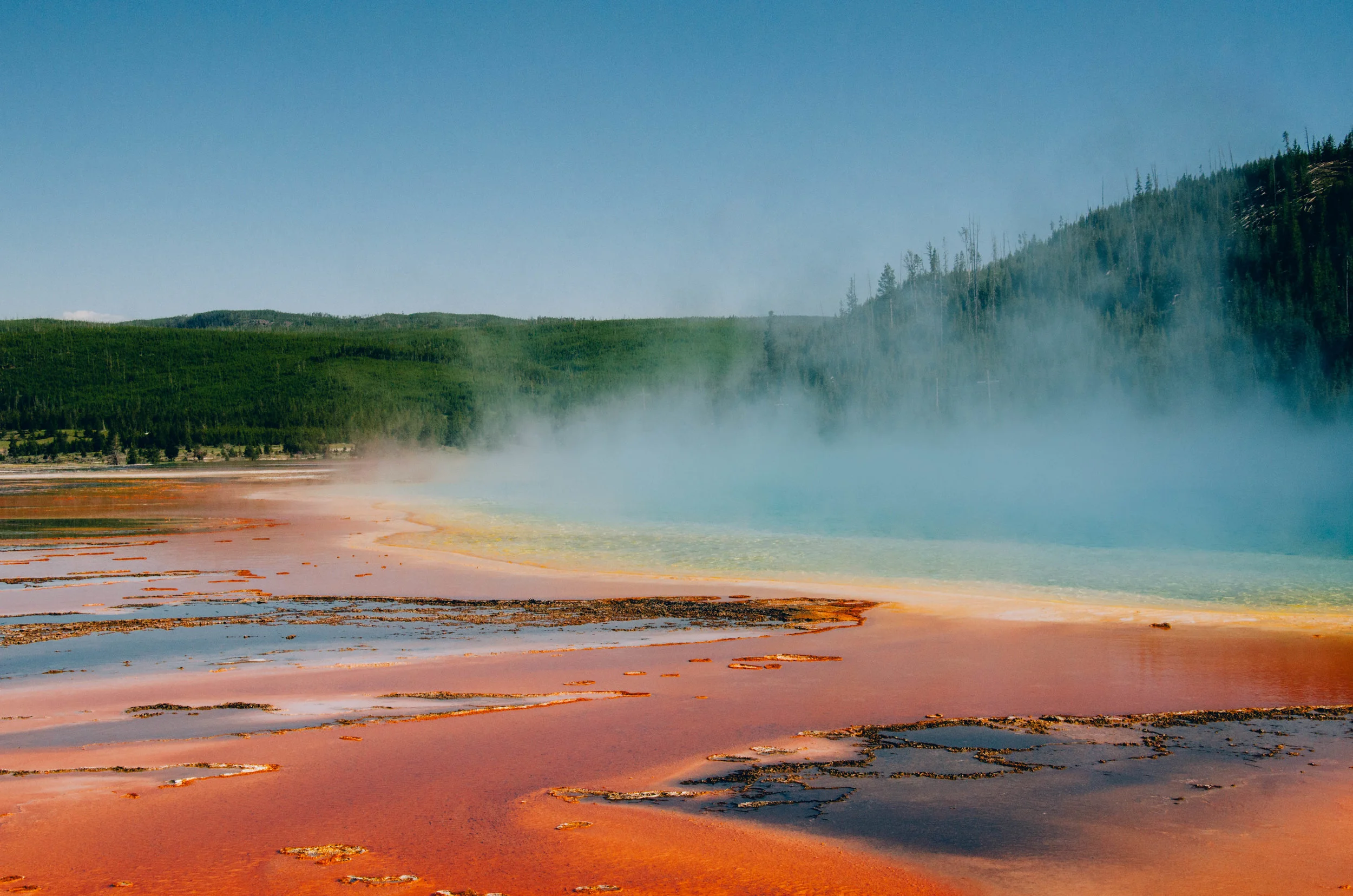 5-night Yellowstone, Grand Teton &amp; Mt. Rushmore Tour From Denver from $698