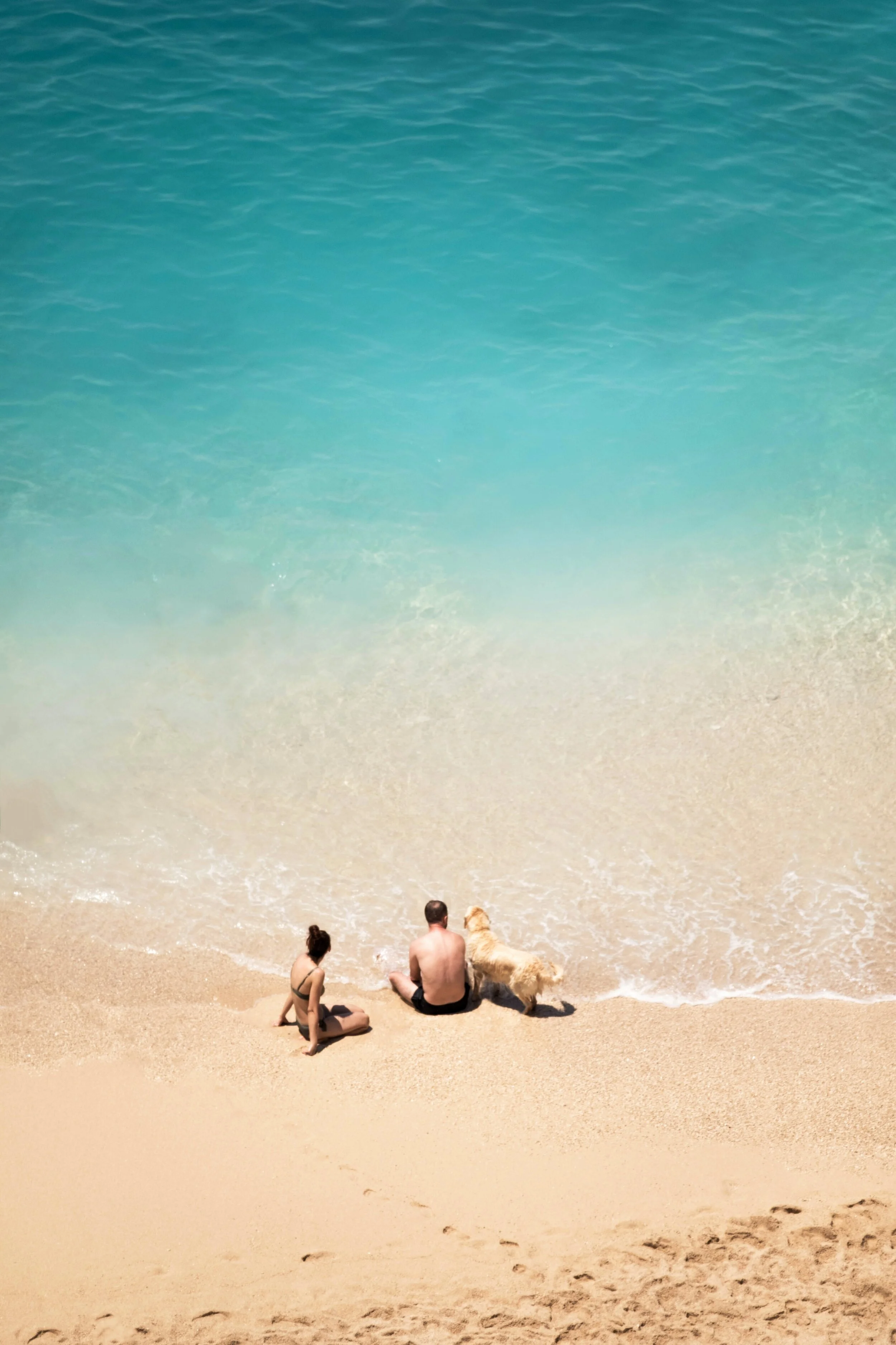 pourya-sharifi-u2-nxG6jDqU-unsplash.jpeg