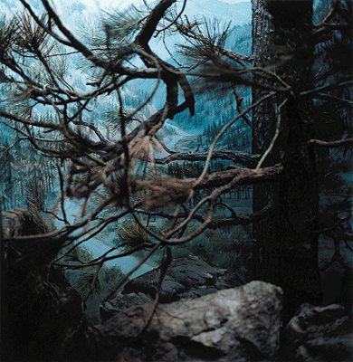 blau_9.gif