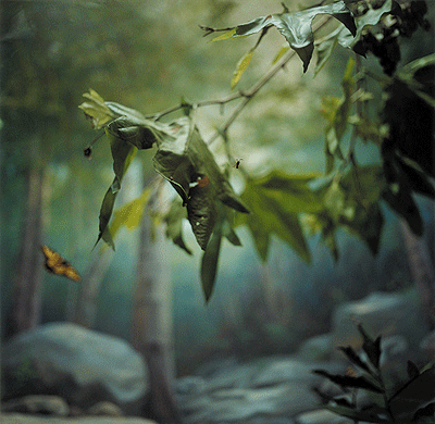 blau_2.gif