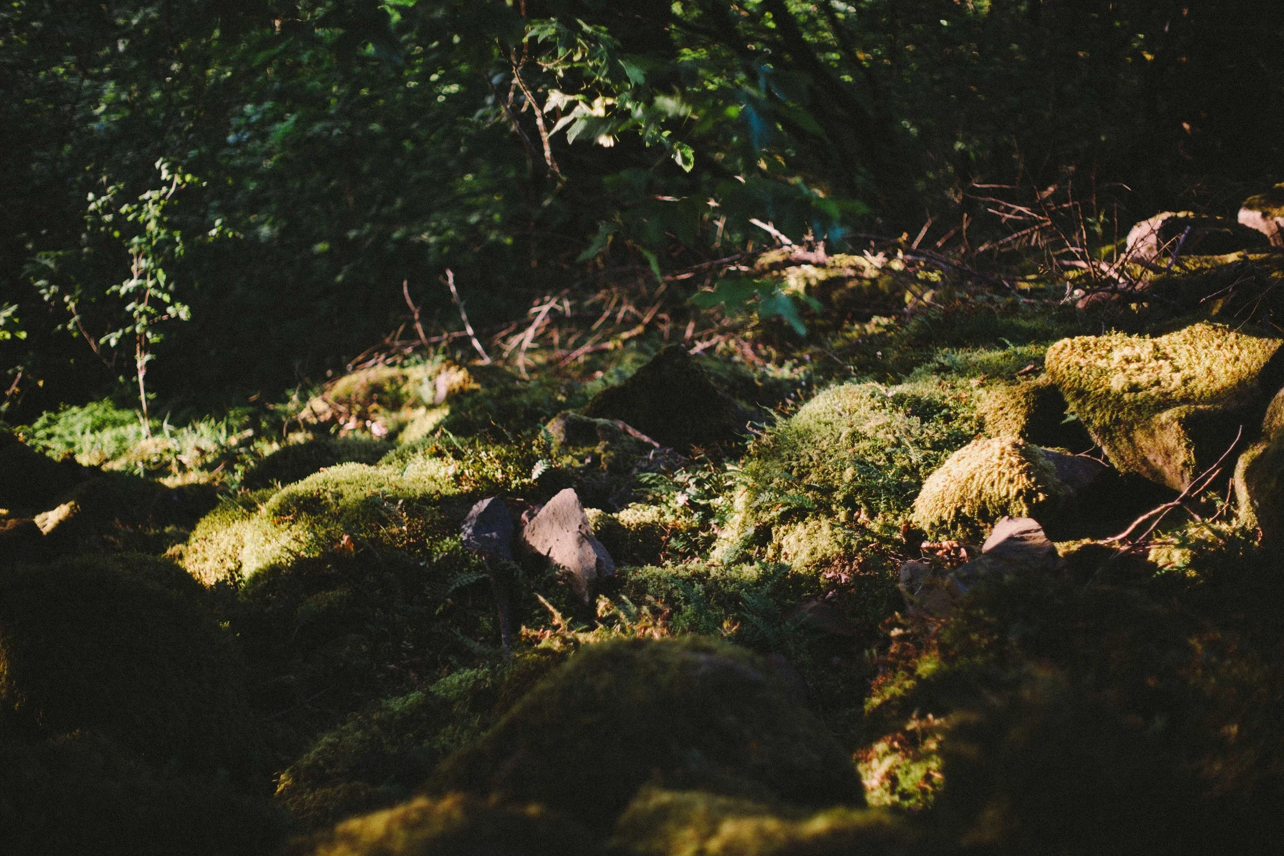 oregontrip-37.jpg