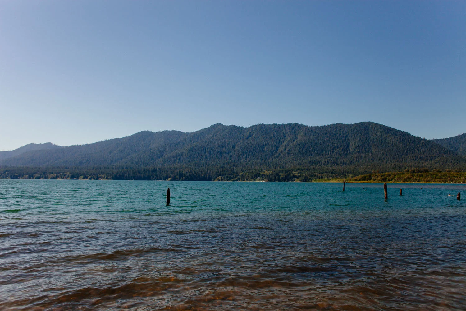 olympicpeninsula011.jpg