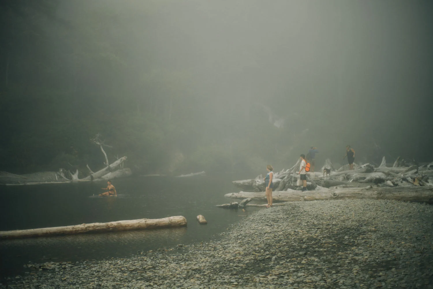 olympicpeninsula018.jpg