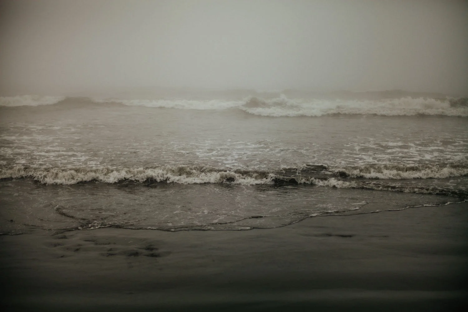 olympicpeninsula026.jpg