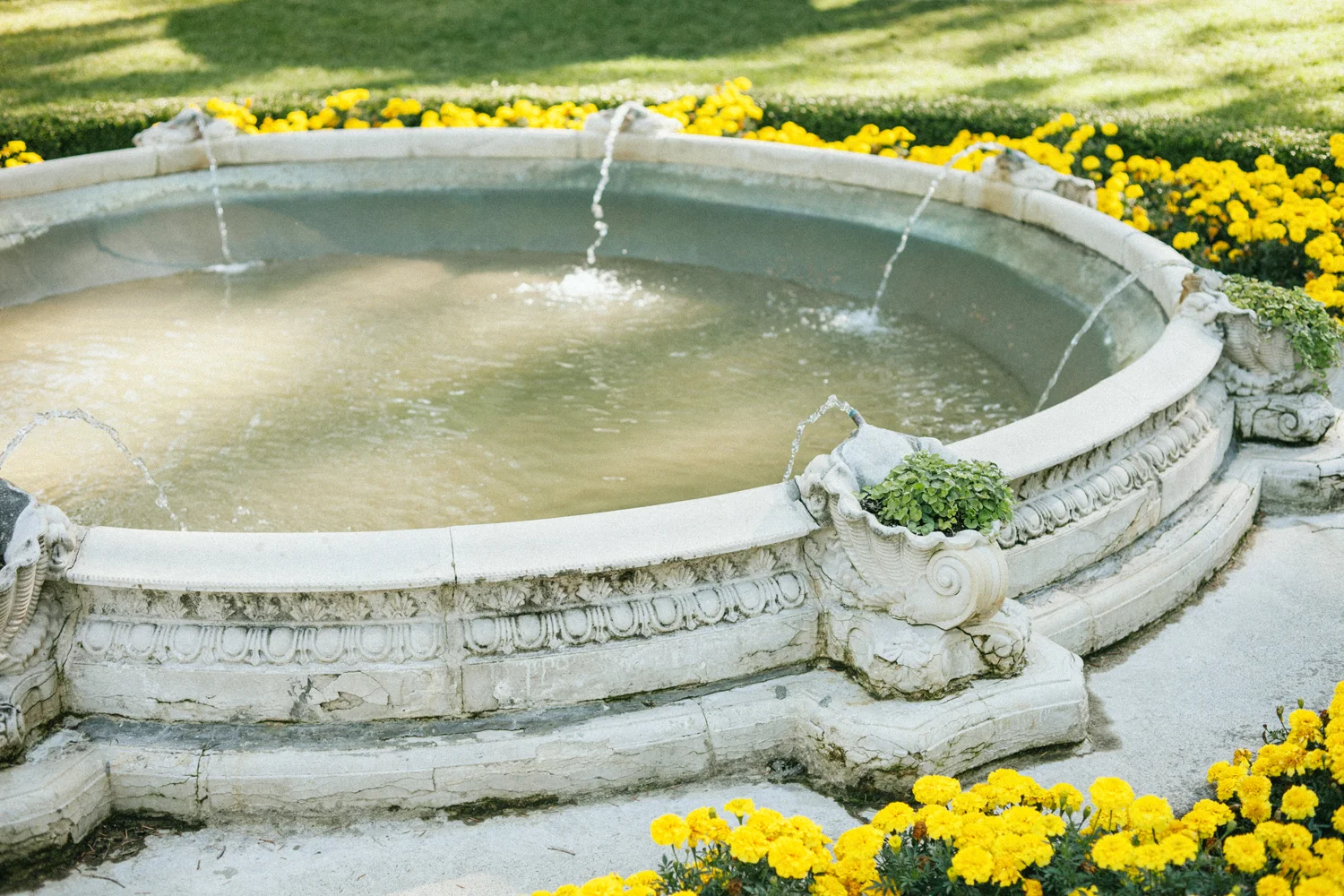 spokanepark027.jpg