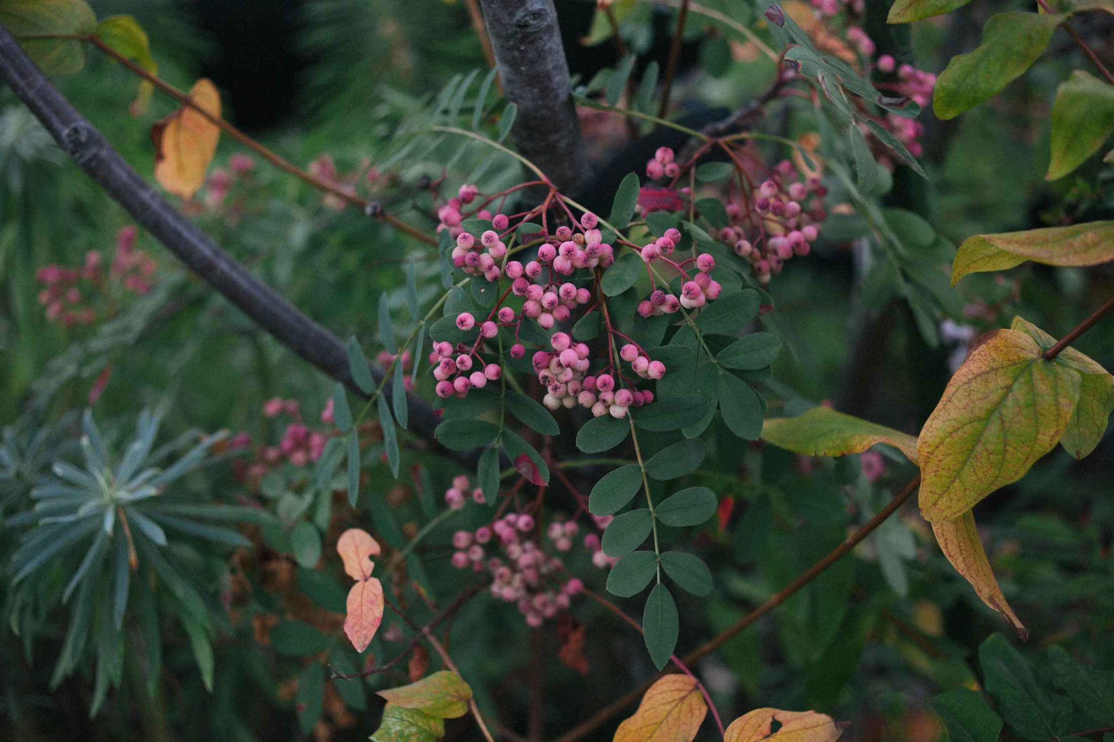 EveningStroll-0016.jpg
