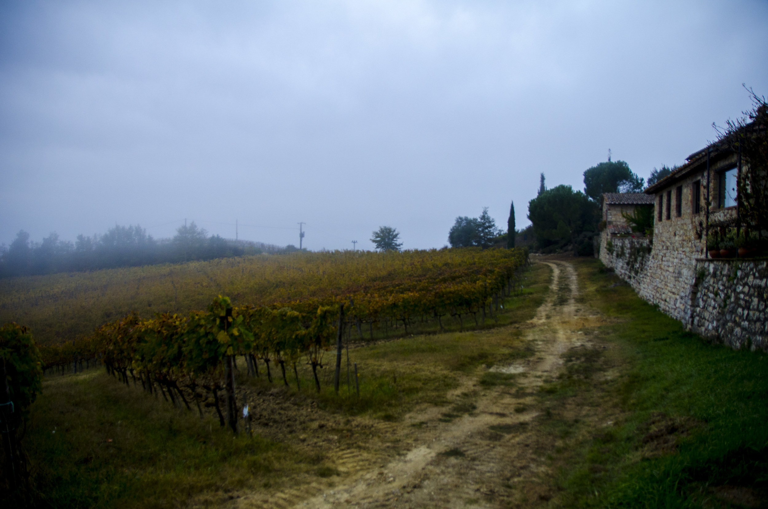  Borgo Argenino is a hidden gem in the luscious and romantic getaway nestled in the heart of wine country — Tuscany, Italy. 