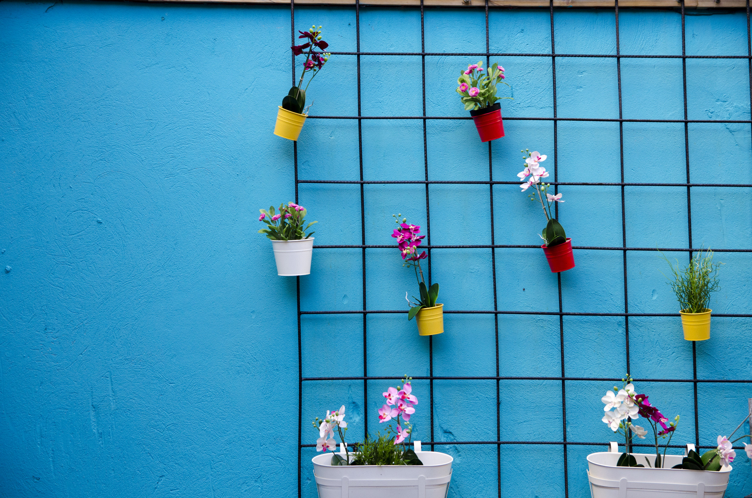  A wall of faux flowers hangs optimistically in the chilly winds of an  Icelandic winter. 
